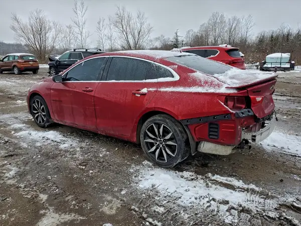 1G1ZG5ST2RF146636 2024 CHEVROLET MALIBU - Image 2