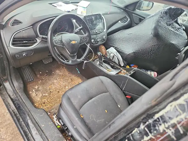 1G1ZG5ST4LF142188 2020 CHEVROLET MALIBU - Image 8