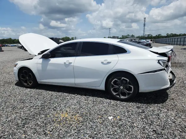 1G1ZG5ST5KF206303 2019 CHEVROLET MALIBU - Image 2