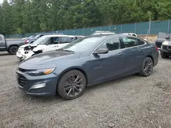 1G1ZG5ST6KF199992 2019 CHEVROLET MALIBU