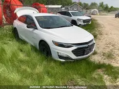 1G1ZG5ST6KF226494 2019 CHEVROLET MALIBU