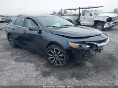 1G1ZG5ST8LF128732 2020 CHEVROLET MALIBU
