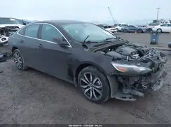 1G1ZG5ST8LF137897 2020 CHEVROLET MALIBU