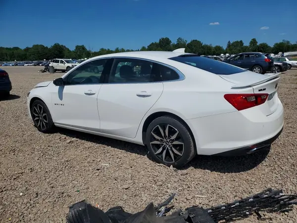 1G1ZG5STXRF114081 2024 CHEVROLET MALIBU - Image 2