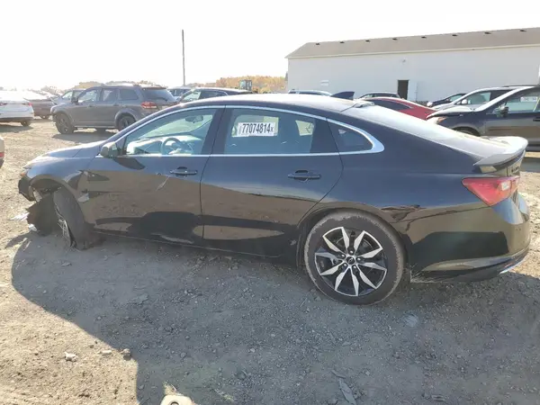 1G1ZG5STXRF203536 2024 CHEVROLET MALIBU - Image 2