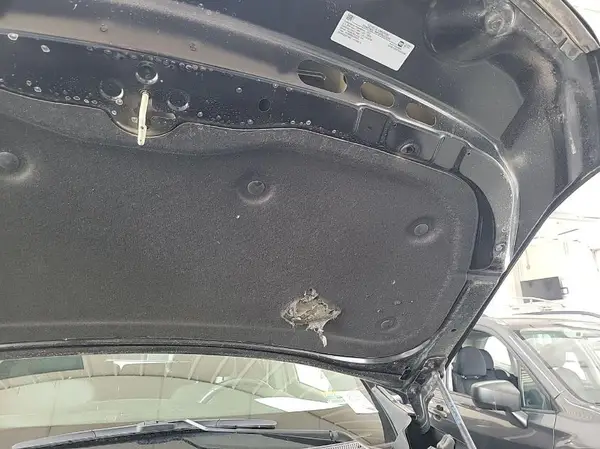 1GNEVGKW7NJ151556 2022 CHEVROLET TRAVERSE - Image 2