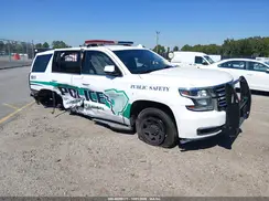 1GNLCDEC0LR246469 2020 CHEVROLET TAHOE