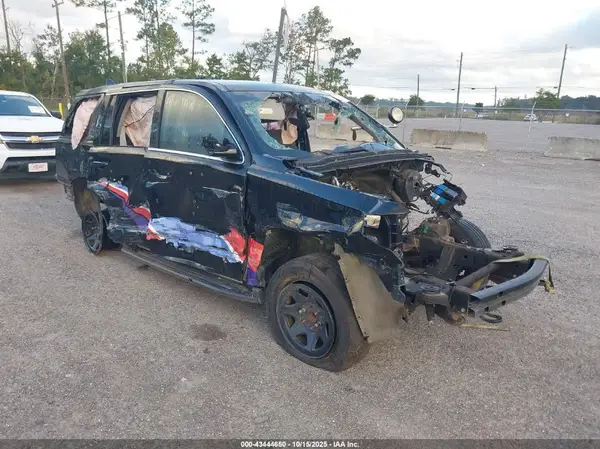1GNLCDEC7KR348723 2019 CHEVROLET TAHOE - Image 1