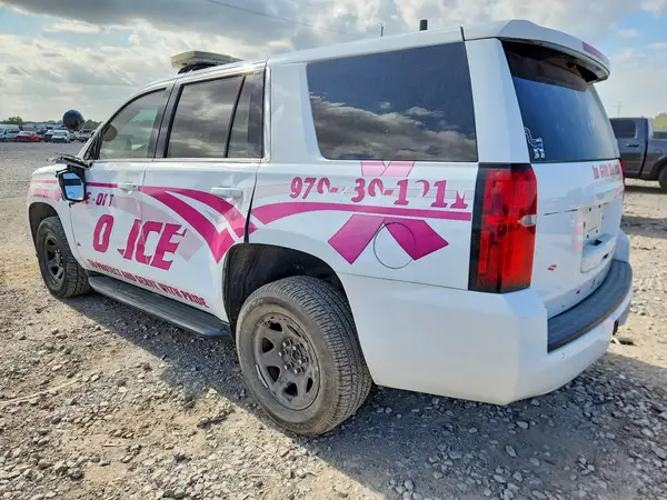 1GNLCDECXKR272902 2019 CHEVROLET TAHOE - Image 2