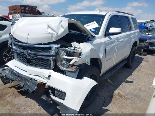 1GNSCBKC2KR399227 2019 CHEVROLET TAHOE - Image 2