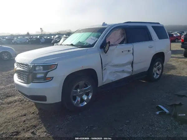 1GNSCBKC5KR264386 2019 CHEVROLET TAHOE - Image 2