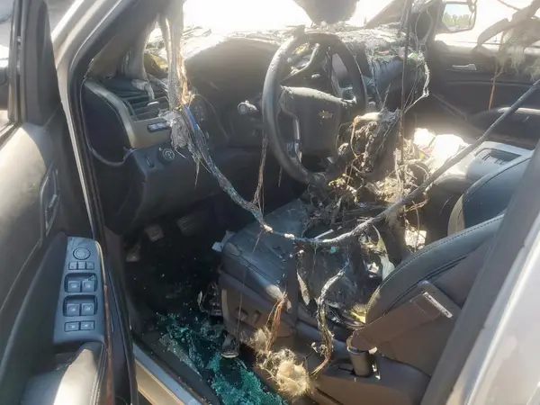 1GNSCCKC0GR229641 2016 CHEVROLET TAHOE - Image 8