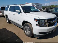 1GNSCHKC2KR119650 2019 CHEVROLET SUBURBAN