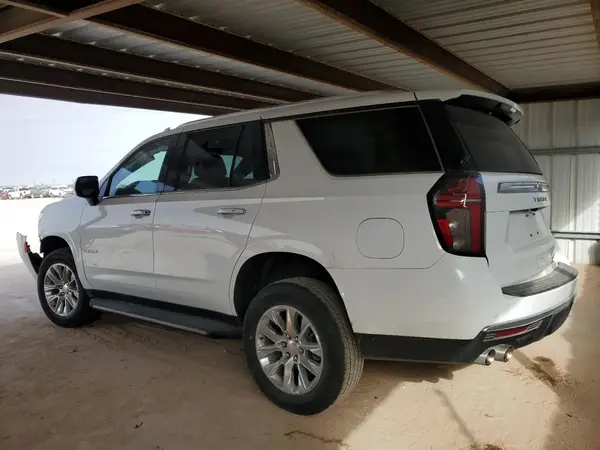 1GNSCSKDXPR521235 2023 CHEVROLET TAHOE - Image 2