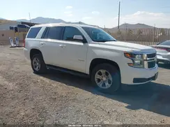 1GNSKAEC0LR108394 2020 CHEVROLET TAHOE