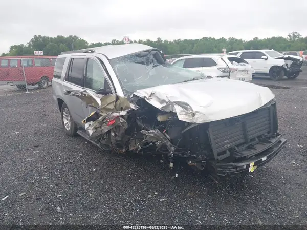 1GNSKAKC2KR185738 2019 CHEVROLET TAHOE - Image 1