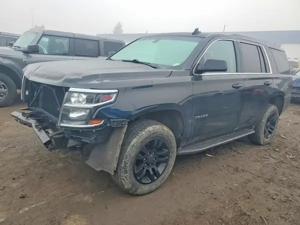 1GNSKAKC5KR339617 2019 CHEVROLET TAHOE - Image 1