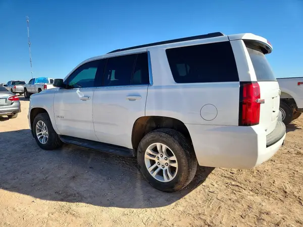 1GNSKAKC6KR340288 2019 CHEVROLET TAHOE - Image 2