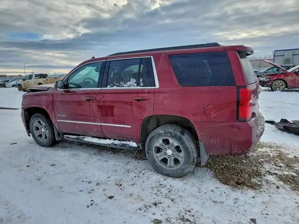 1GNSKAKCXKR318603 2019 CHEVROLET TAHOE - Image 2