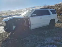 1GNSKBKC8KR407768 2019 CHEVROLET TAHOE