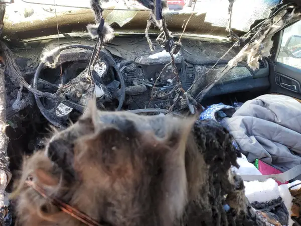 1GNSKCKC7JR312686 2018 CHEVROLET TAHOE - Image 8