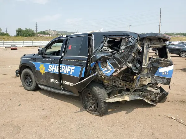 1GNSKDEC1KR241391 2019 CHEVROLET TAHOE - Image 2