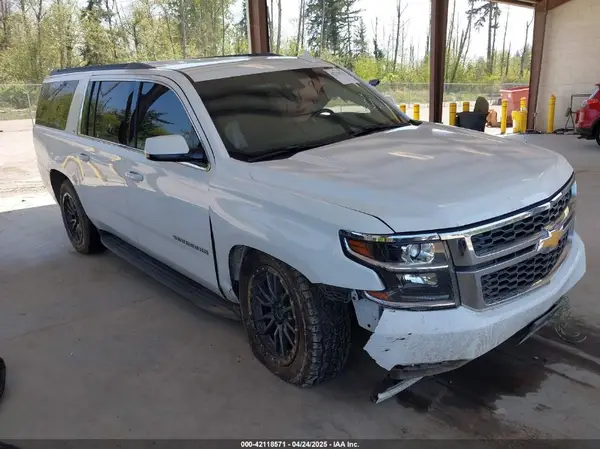 1GNSKHKC2KR384572 2019 CHEVROLET SUBURBAN - Image 1