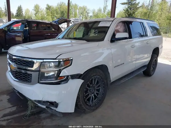 1GNSKHKC2KR384572 2019 CHEVROLET SUBURBAN - Image 2