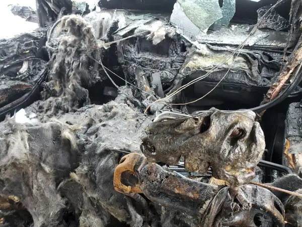 1GNSKHKC9JR262273 2018 CHEVROLET SUBURBAN - Image 8