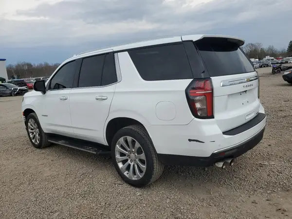 1GNSKSKD0PR217513 2023 CHEVROLET TAHOE - Image 2