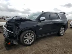 1GNSKSKD7PR306401 2023 CHEVROLET TAHOE