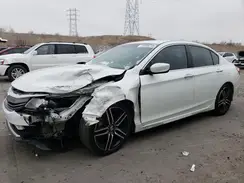 1HGCR2E17HA036968 2017 HONDA ACCORD