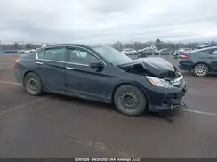 1HGCR2F00GA802494 2016 HONDA ACCORD