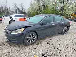 1HGCR2F00HA101049 2017 HONDA ACCORD