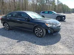 1HGCR2F01HA023929 2017 HONDA ACCORD
