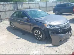 1HGCR2F02HA174116 2017 HONDA ACCORD