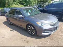 1HGCR2F03HA073926 2017 HONDA ACCORD