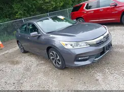 1HGCR2F03HA146499 2017 HONDA ACCORD