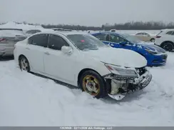 1HGCR2F04HA802600 2017 HONDA ACCORD