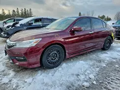 1HGCR2F06HA801707 2017 HONDA ACCORD