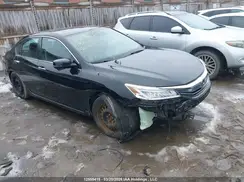 1HGCR2F06HA803943 2017 HONDA ACCORD