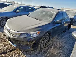 1HGCR2F07GA022315 2016 HONDA ACCORD