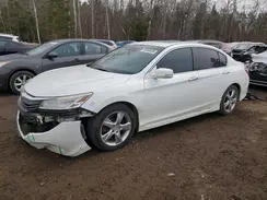 1HGCR2F07HA800727 2017 HONDA ACCORD