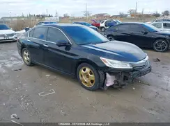 1HGCR2F08GA801920 2016 HONDA ACCORD