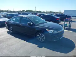 1HGCR2F08HA203859 2017 HONDA ACCORD