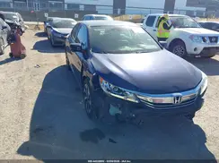 1HGCR2F08HA204249 2017 HONDA ACCORD