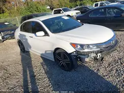 1HGCR2F10HA081233 2017 HONDA ACCORD