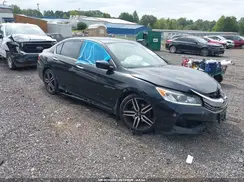 1HGCR2F10HA195846 2017 HONDA ACCORD