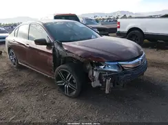 1HGCR2F11HA156781 2017 HONDA ACCORD