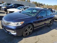 1HGCR2F11HA240518 2017 HONDA ACCORD